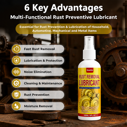 Anti-Rust Lubricant Spray & Rust Remover